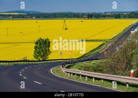 Rapsfelder, Quelle für Rapsöl, das im Frühjahr blüht, von der Straße in der Nähe von Dobromierz, Niedermösien, Polen aus gesehen Stockfoto