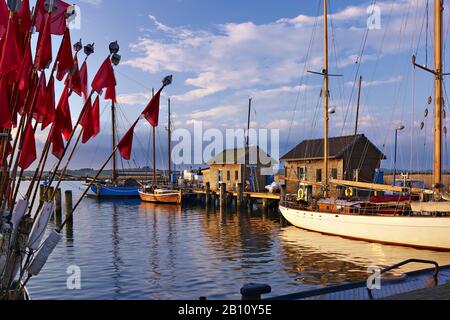 Gager Hafen in Abendlicht, Halbinsel Mönchgut, Rügen, Mecklenburg-Vorpommern, Deutschland Stockfoto