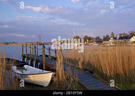 Gager Hafen in Abendlicht, Halbinsel Mönchgut, Rügen, Mecklenburg-Vorpommern, Deutschland Stockfoto