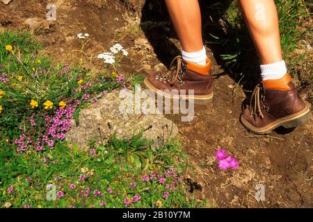 Nahaufnahme von Wanderschuhen, Wanderschuhen und Wanderbeinen auf einem Landschmutzweg. Stockfoto