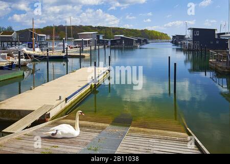 Marina in Lauterbach bei Putbus, Rügen, Mecklenburg-Vorpommern, Deutschland Stockfoto