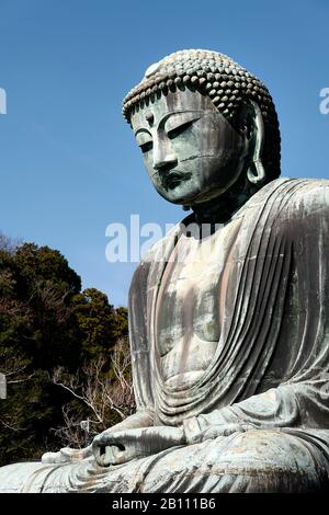 Japan, Insel Honshu, Kanto, Kamakura, der grosse Buddha von Kotoku-in. Stockfoto