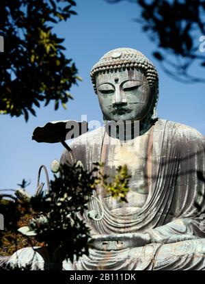 Japan, Insel Honshu, Kanto, Kamakura, der grosse Buddha von Kotoku-in. Stockfoto