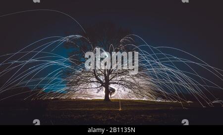 Der jahrhundertealte einsame Baum riss durch Spinnen von Stahlwolle mit Glitzerlicht in der Nacht ab Stockfoto