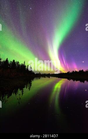 Polarlicht-Spiegelung auf einem See, Schweden, Lappland, Norrbotten Stockfoto