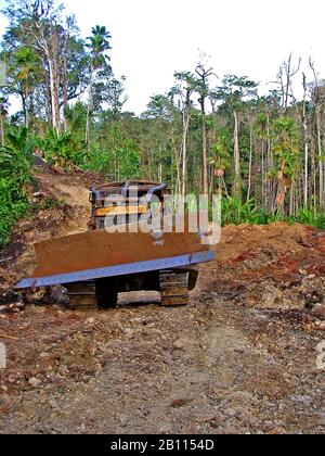 Illegale Räumung des Regenwaldes, Indonesien, Sulawesi, Halmahera Stockfoto