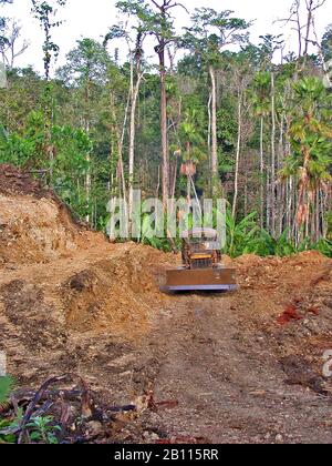 Illegale Räumung des Regenwaldes, Indonesien, Sulawesi, Halmahera Stockfoto