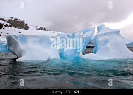 Eisberge an der Küste, Antarktis, Cuverville Island Stockfoto