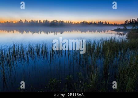 Abenddämmerung an einem Waldsee, Schweden, Lappland, Norrbotten Stockfoto