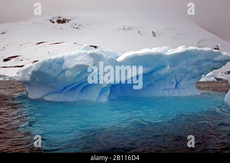 Eisberge an der Küste, Antarktis, Cuverville Island Stockfoto