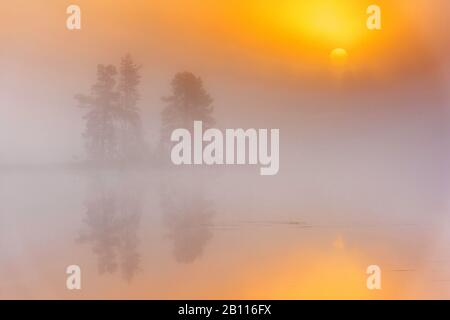 Morgendämmerung an einem Waldsee, Schweden, Lappland, Norrbotten Stockfoto