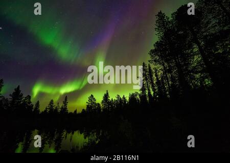 Polarlicht-Spiegelung auf einem See, Schweden, Lappland, Norrbotten, Schwedisch Lappland Stockfoto