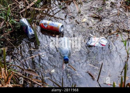 Plastikmüll entlang einer 800 Meter langen Strecke des Flusses Nene vor der Stadt und dem neuen Collage, nach Tagen starken Regens und hohen Wassers. Stockfoto