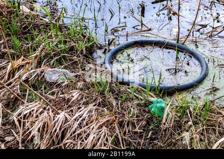 Plastikmüll entlang einer 800 Meter langen Strecke des Flusses Nene vor der Stadt und dem neuen Collage, nach Tagen starken Regens und hohen Wassers. Stockfoto