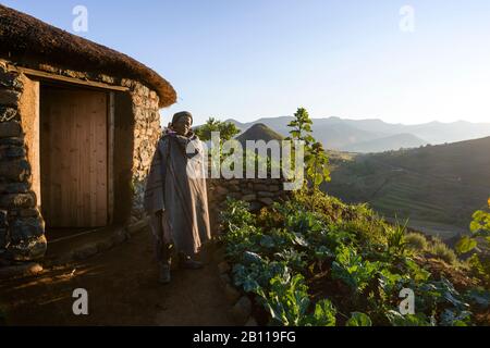 Basotho-Hirte in traditionellen Behausung, Lesotho, Afrika Stockfoto