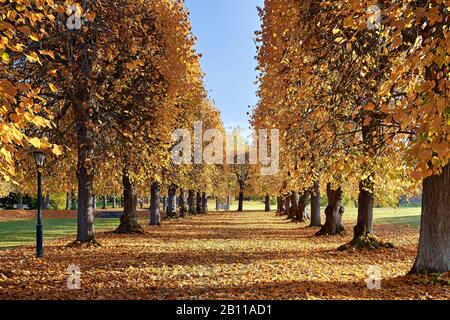 Park Haus Bergfried, Lindenallee, Saalfeld, Landkreis Saalfeld-Rudolstadt, Thüringen, Deutschland Stockfoto