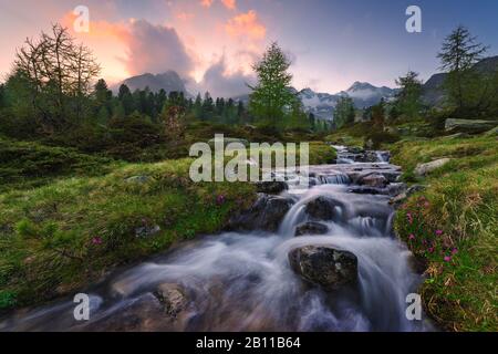 Bergbach, Alpen, Graubünden, Schweiz, Europa Stockfoto