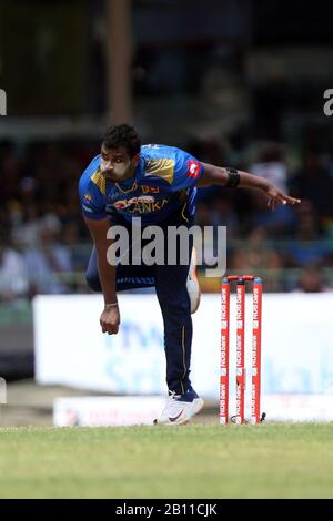 Colombo, Sri Lanka. Februar 2020. Februar 2020, Dem Singhalese Sports Club Cricket Ground, Colombo, Sri Lanka; One-Day International Cricket, Sri Lanka versus West Indies; Thisara Perera Bowls to Shai Hope Credit: Action Plus Sports Images/Alamy Live News Stockfoto