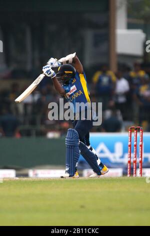 Colombo, Sri Lanka. Februar 2020. Februar 2020, Dem Singhalese Sports Club Cricket Ground, Colombo, Sri Lanka; One-Day International Cricket, Sri Lanka versus West Indies; Wanindu Hasaranga fährt den Ball Credit: Action Plus Sports Images/Alamy Live News Stockfoto