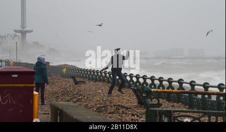 Hove UK 22. Februar 2020 - Wanderer werfen Kiesel ins Meer, nachdem die jüngsten Stürme den Schindel auf die Küste von Hove geworfen haben. Das stürmische Wetter wird sich in den nächsten Tagen in ganz Großbritannien fortsetzen und es wird mit weiteren Überschwemmungen und Schäden gerechnet: Credit Simon Dack / Alamy Live News Stockfoto