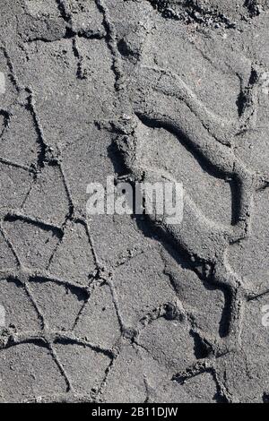 Reifenabdrücke auf der sandigen Straße in Schwarzweiß Stockfoto