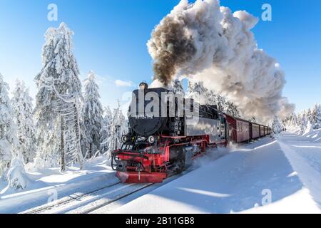 Die Brockenbahn im Nationalpark Harz, Sachsen-Anhalt, Deutschland Stockfoto