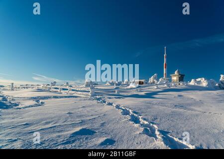 Der 1101 m hohe Brocken, Nationalpark Harz, Sachsen-Anhalt, Deutschland Stockfoto