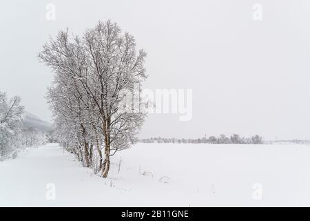 Winter in Norwegen Stockfoto