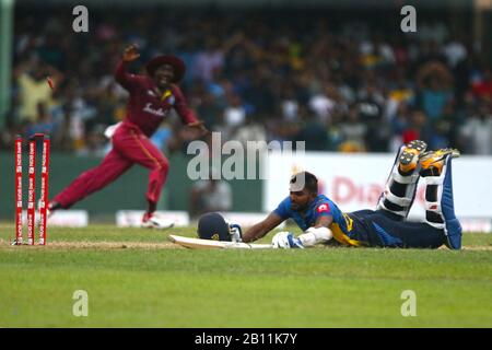 Colombo, Sri Lanka. Februar 2020. Februar 2020, Dem Singhalese Sports Club Cricket Ground, Colombo, Sri Lanka; Eines Tages International Cricket, Sri Lanka versus West Indies; Wanindu Hasaranga taucht über die Crease, um sein Wicket als "Bails Fly Credit: Action Plus Sports Images/Alamy Live News" zu halten Stockfoto