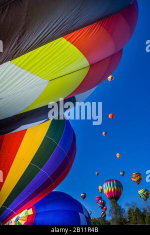 Große Anzahl von Heißluftballons heben ab und auf dem Boden auf Heißluftballon Festival. Lebendige Farben und blauer Himmel. Vertikales Foto. Stockfoto