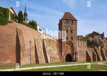 Stadtmauer mit Elbtor und Stephanskirche, Tangermünde, Sachsen-Anhalt, Deutschland Stockfoto