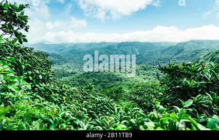 Blick auf Monteverde Biological Reserve, Costa Rica, Mittelamerika Stockfoto