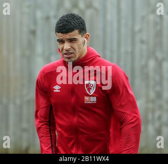 Turf Moor, Burnley, Lanchashire, Großbritannien. Februar 2020. English Premier League Football, Burnley gegen AFC Bournemouth; Dominic Solanke von Bournmouth Credit: Action Plus Sports/Alamy Live News Stockfoto