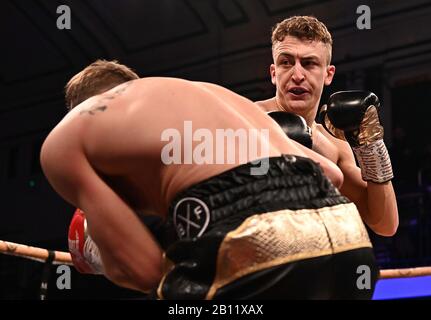 Bethnal Green, Großbritannien. Februar 2020. Elliot Whale. Vorläufiger Ausgang 2. MTK Golden Contract Boxing Halbfinale. York Hall. Bethnal Green. London. GROSSBRITANNIEN. Credit Garry Bowden/Sport in Pictures/Alamy Live News. Credit: Sport In Pictures/Alamy Live News Stockfoto