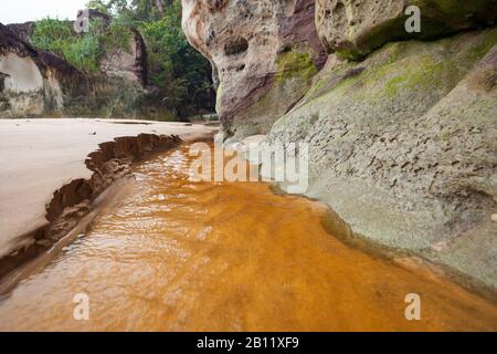 Kleiner Wasserfluss am Strand im Bako-Nationalpark Borneo Malaysia Stockfoto