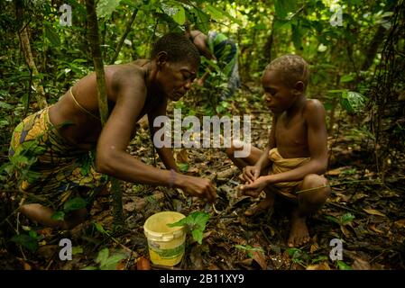 Das Leben der Bayaka Pygmäen im äquatorialen Regenwald, Zentralafrikanische Republik, Afrika Stockfoto