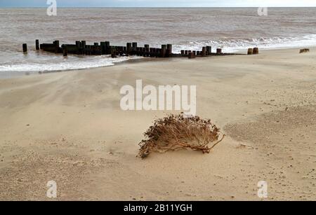 Ein Blick auf Wind geblasenen Sand an einem luftigen Wintertag an der Küste von Norfolk bei Walcott, Norfolk, England, Großbritannien, Europa. Stockfoto