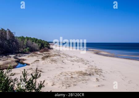 Die Weiße Düne und der Baltische See bei Saulkrasti im Frühjahr, Lettland. Weißer Sandstrand in der Nähe von Nadelbäumen Wald in der Ostsee. Stockfoto