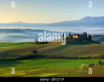 Morgennebel bei Sonnenaufgang im Val dñíOrcia in der Nähe von San Quirico dñíOrcia, Provinz Siena, Toskana, Italien Stockfoto