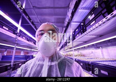 Porträt des asiatischen Botanikers in schützender Arbeitskleidung und Maske mit Blick auf die Kamera bei der Arbeit mit Pflanzen im Gewächshaus Stockfoto