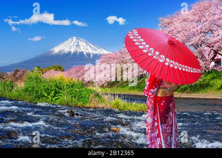 Asiatische Frau, die traditionellen japanischen Kimono trägt und Kirschblüten mit fuji-bergen in Shizuoka, Japan, betrachtet. Stockfoto