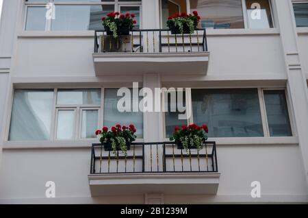 Balkon und Blume Stockfoto