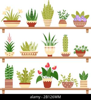 Zimmerpflanzen im Regal. Blume im Topf, Topfpflanzen und Pflanzentöpfe. Home Pflanzen in Regalen isolierte Vektorgrafiken Stock Vektor