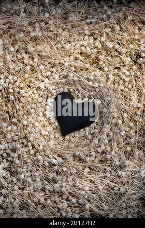 Schwarzes Herz im Nest von getrockneten Samenköpfen Stockfoto