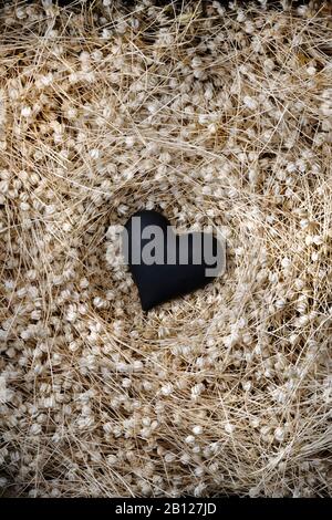 Schwarzes Herz im Nest von getrockneten Samenköpfen Stockfoto