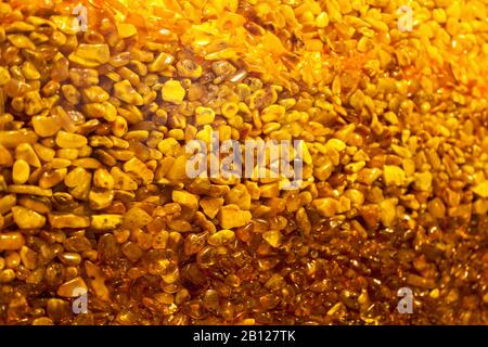 Amber oder Burshtin eine gelbbraune Substanz, die aus Harz entstand und in Schmuck verwendet wird. Stockfoto