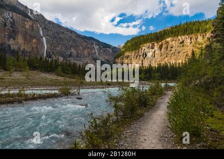 Der Berg Lake Trail entlang des Robson River durch das Tal der tausend Wasserfälle im Mount Robson Provincial Park, British Columbia, Kanada Stockfoto