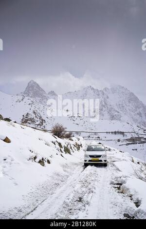 Touristische Expedition auf der Suche nach Schneeleoparden im Ulley Valley. Ladakh. Himalaya. Indien Stockfoto