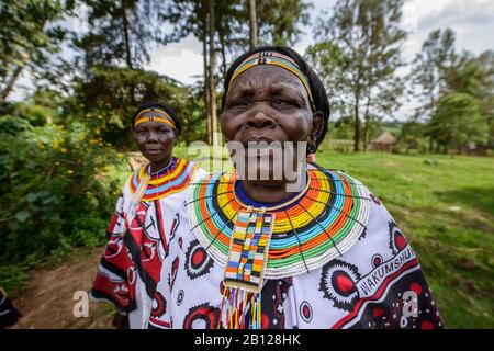 Frauen des Stammes Pokot, Kenia Stockfoto