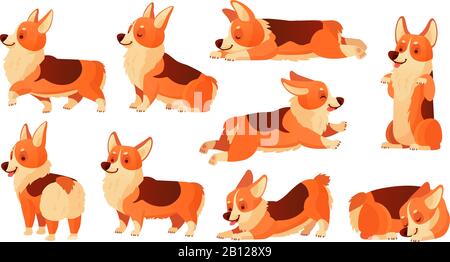 Cartoon-Hundefigur. Schlafende corgi-hunde posieren, Fitness-Sport-Sport für Stammhunde und entspannendes Haustier-Yoga stellen einen isolierten Vektorsatz dar Stock Vektor